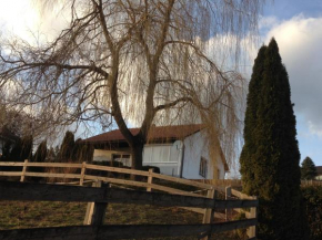 Koxsi's Motorhome, Knittelfeld, Österreich, Knittelfeld, Österreich